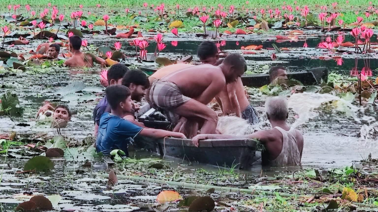 কাপাসিয়ায় শাপলা বিলে ঘুরতে এসে পানিতে ডুবে ২ যুবকের মৃত্যু