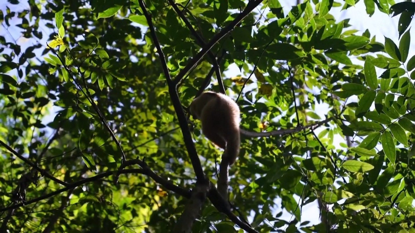 মানুষ ও প্রকৃতি ৭৩