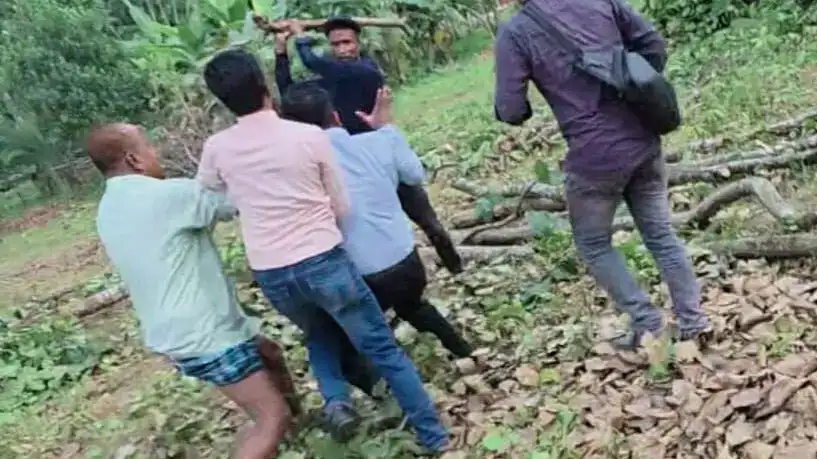 কাপাসিয়ায় বনদস্যুদের হামলায় তিন সাংবাদিক আহত, বাবা-ছেলেসহ আটক ৩