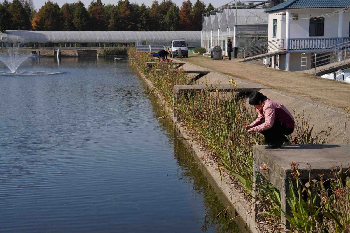 টেকসই পানি শোধন সিস্টেম বানালেন চীনা গবেষকরা