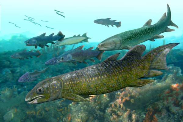 চীনে নতুন প্রজাতির লাংফিশের ফসিল