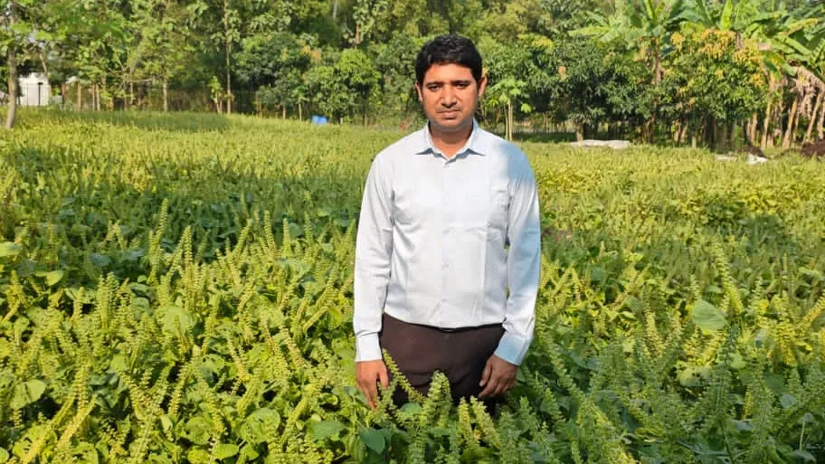 গাজীপুর সদর উপজেলা কৃষি কর্মকর্তা মো: হাসিবুল হাসান