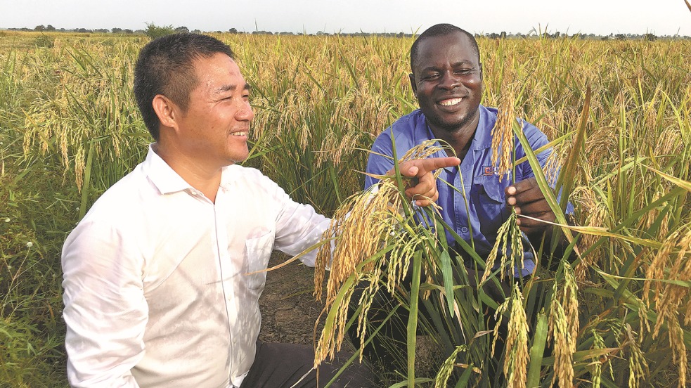চীন–আফ্রিকা বন্ধুত্ব: ধানের ক্ষেত থেকে মানুষের হৃদয়ে