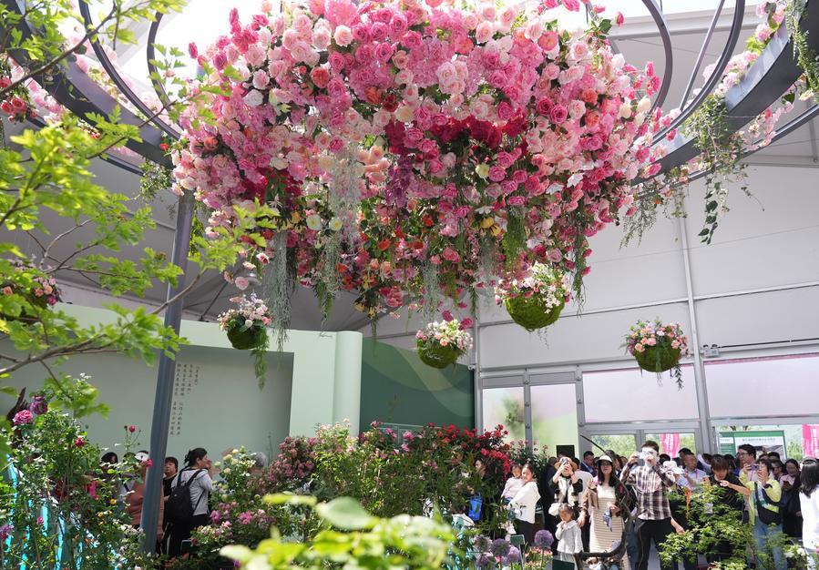 কৃষিতে নতুন কিছু আনবে চীনের ‘মহাকাশ গোলাপ’