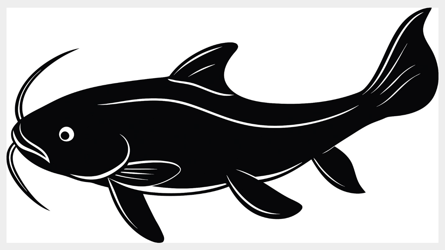 সংরক্ষিত মাছের জিন-মানচিত্র উন্মোচন চীনে