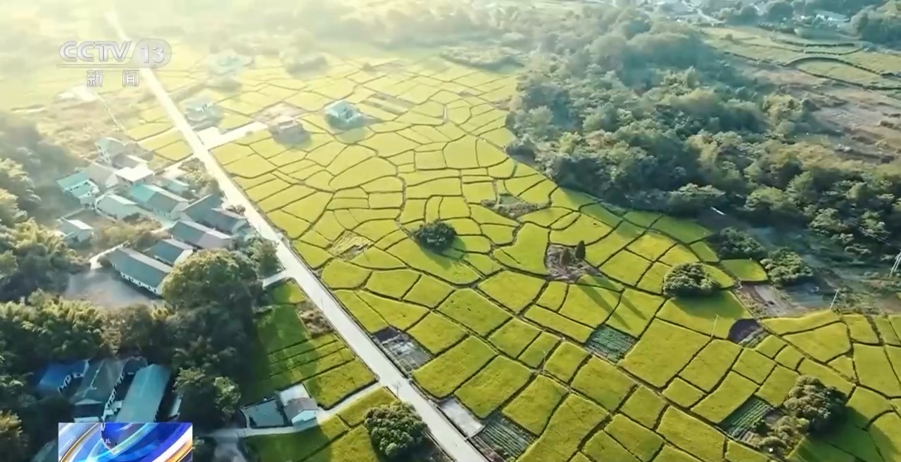 চীন নিজের উন্নয়ন দিয়ে বিশ্বের উন্নয়নকে বেগবান করছে