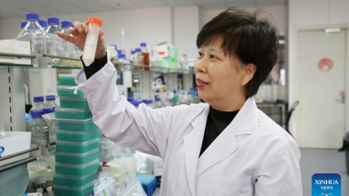 লিউকেমিয়া চিকিৎসায় ‘আণবিক সেতু’ তৈরি করলেন চীনা বিজ্ঞানীরা