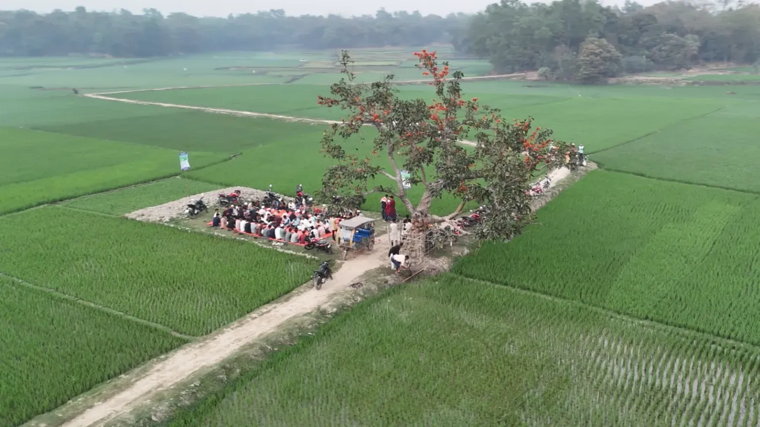 কাপাসিয়ার ছেলদিয়ার পলাশতলায় ছুটে আসছেন প্রকৃতিপ্রেমীরা