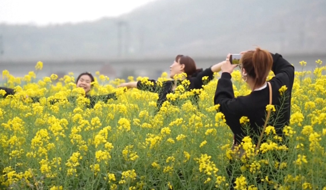 ছিংমিং উৎসব: চীনা পর্যটন ও অর্থনীতিতে নতুন গতি