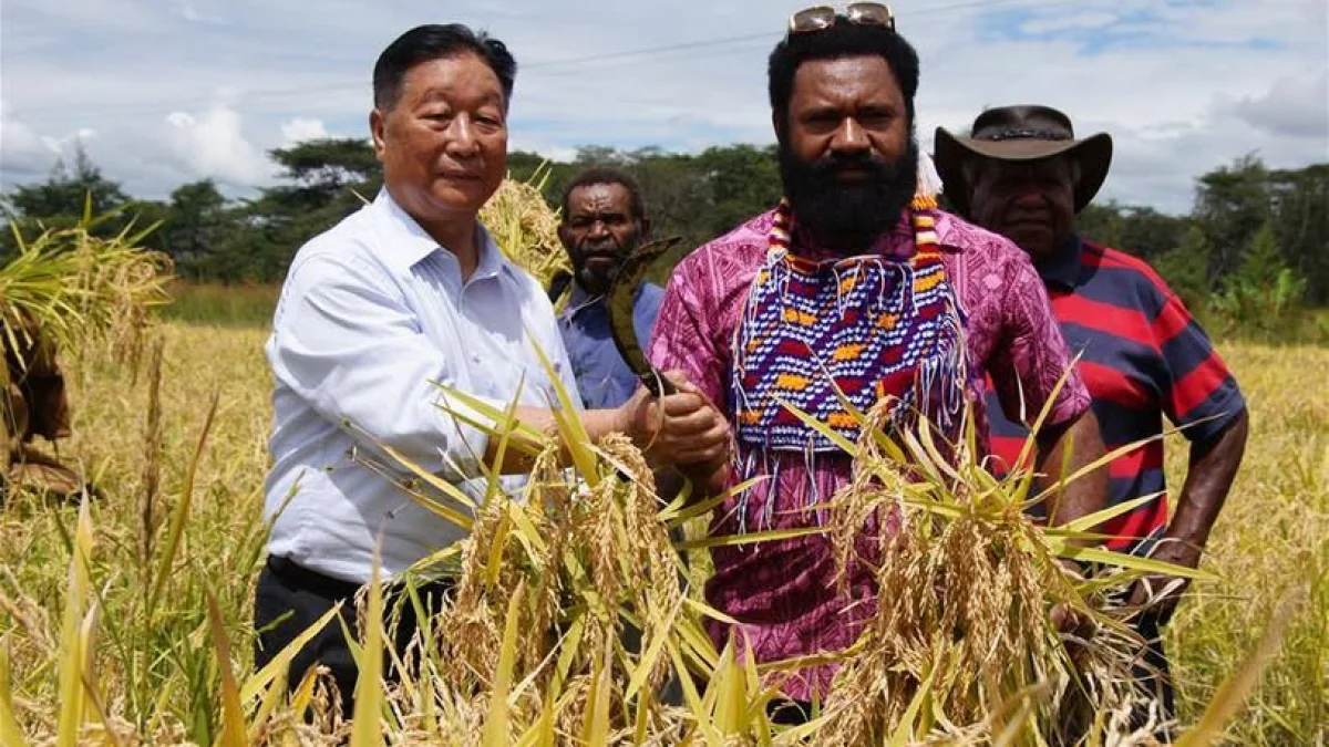 চীনের কৃষি প্রকল্পের প্রশংসা করলেন পাপুয়া নিউগিনির প্রধানমন্ত্রী