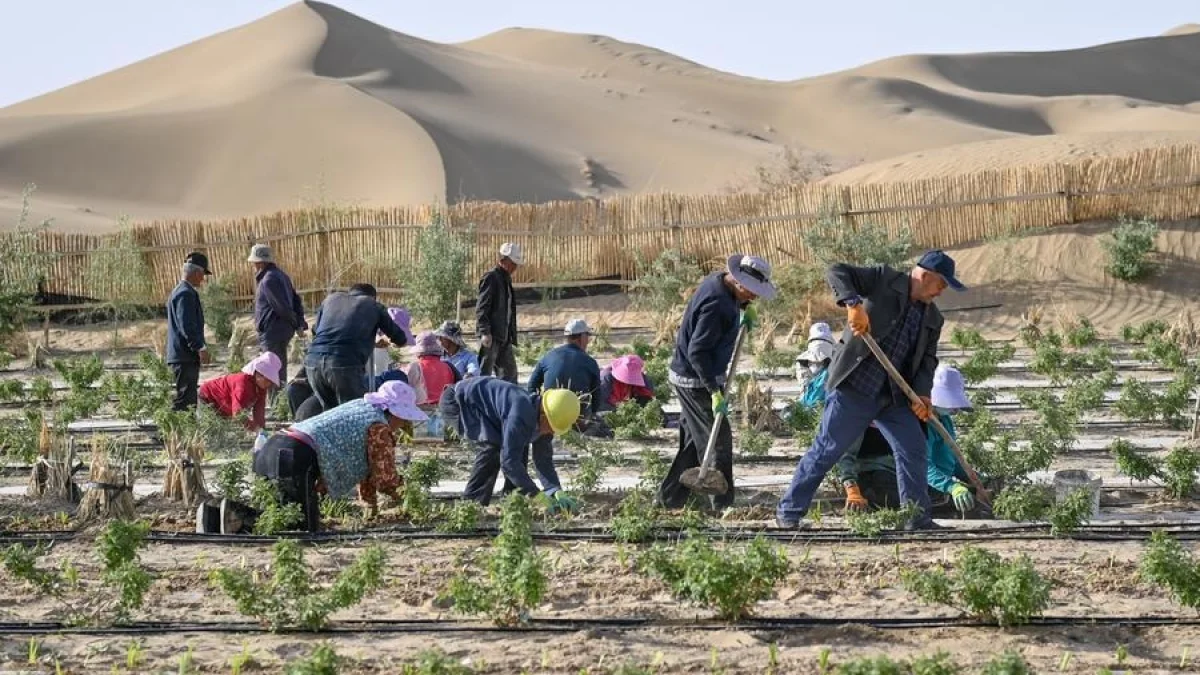 দারিদ্র্য বিমোচনের সাফল্য ধরে রাখতে চীনের নতুন পদক্ষেপ