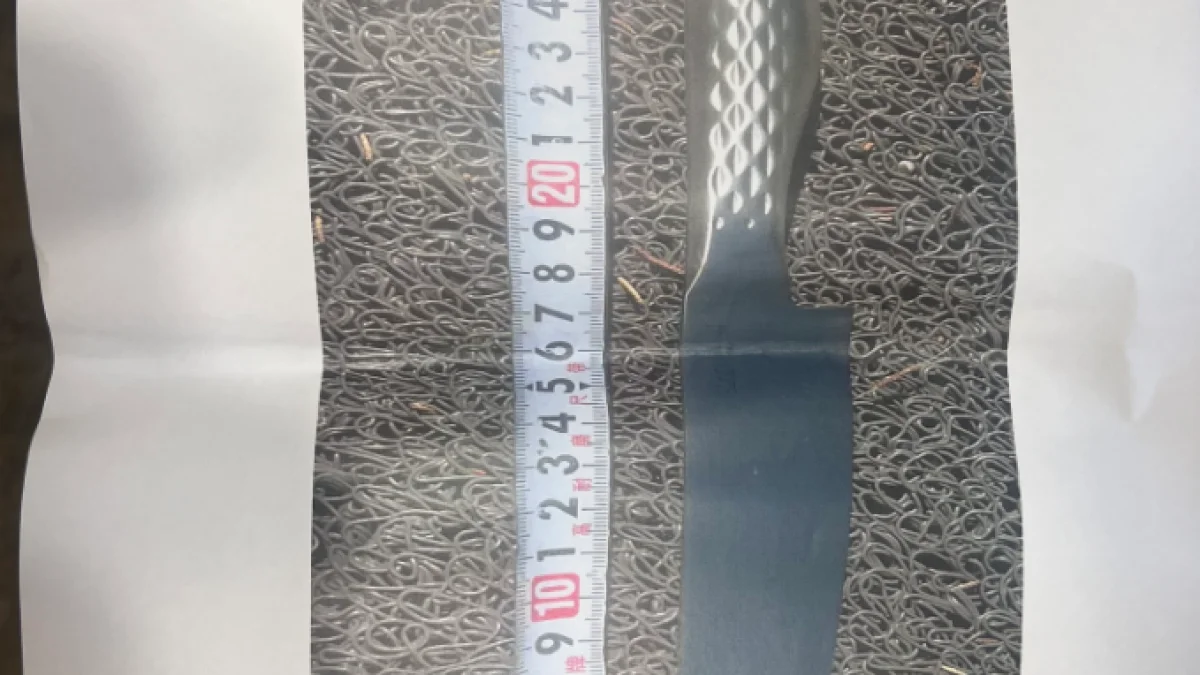 জাপানে অবস্থিত চীনা দূতাবাসে ধারাবাহিক সন্ত্রাসী হুমকি: তীব্র নিন্দা বেইজিংয়ের