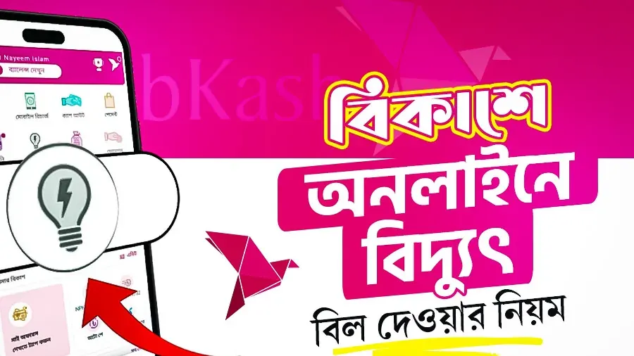 পল্লী বিদ্যুৎ বিল বিকাশ করার নিয়ম ২০২৬