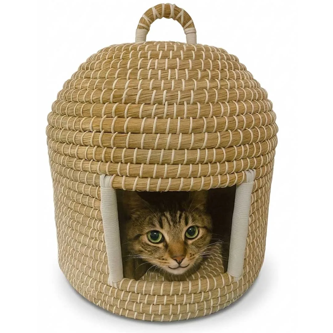 Handmade Cat House (হাতে তৈরি বিড়ালের ঘর)